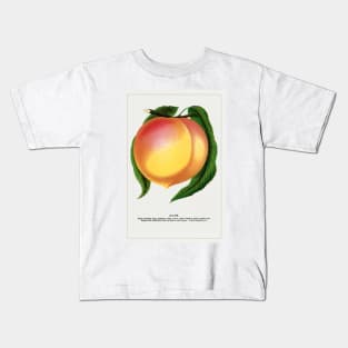 Globe Peach Lithograph (1900) Kids T-Shirt